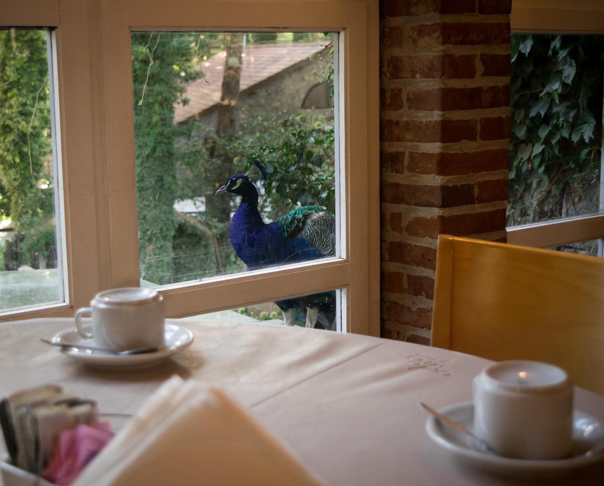 Carilo Village Apart Hotel & Spa 外观 照片