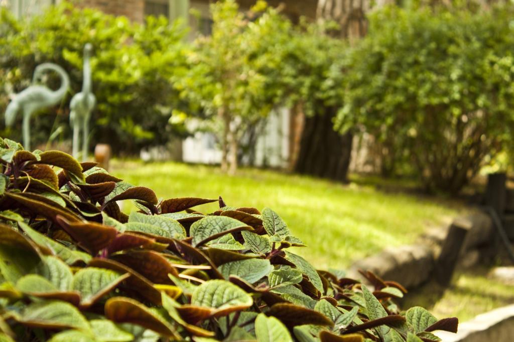 Carilo Village Apart Hotel & Spa 外观 照片