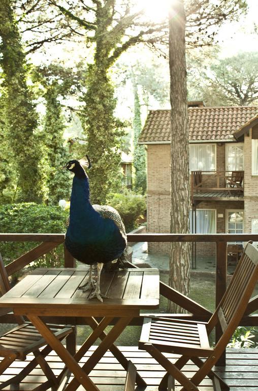 Carilo Village Apart Hotel & Spa 客房 照片